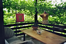 Terrasse Atelier